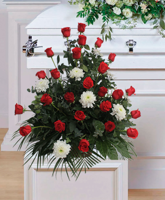 Centro funerario de rosas rojas y margaritas blancas junto a féretro blanco